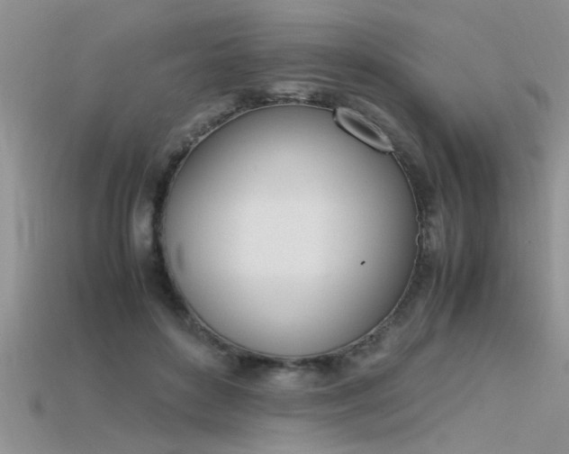 X0000115760504200911131158