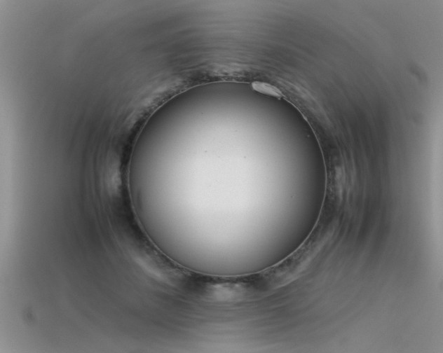 X0000115760508200911131158