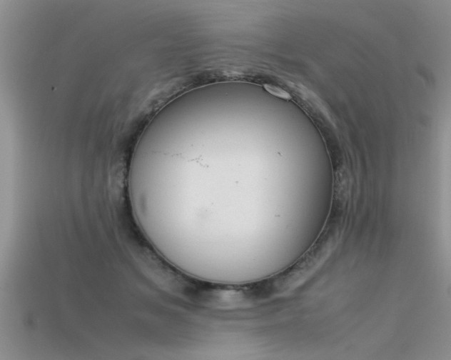 X0000115760509200911131158