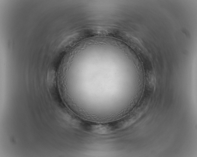 X0000115760511200911131158