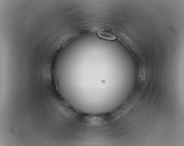 X0000115760512200911131158