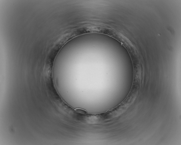X0000115760513200911131158