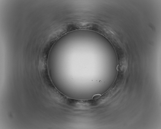 X0000115760515200911131158