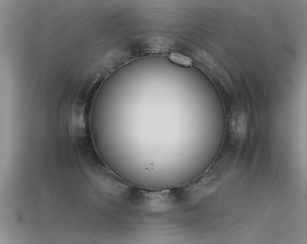 X0000115760516200911131158