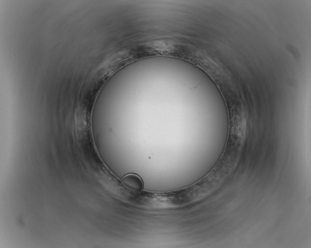 X0000115760518200911131158