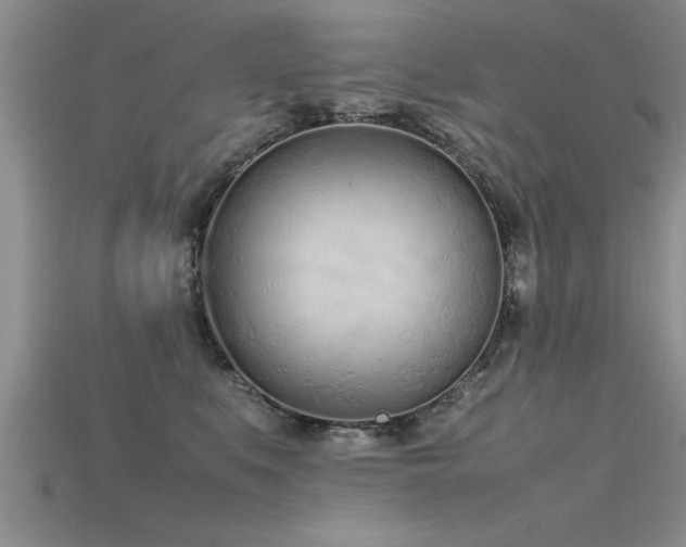 X0000115760519200911131158
