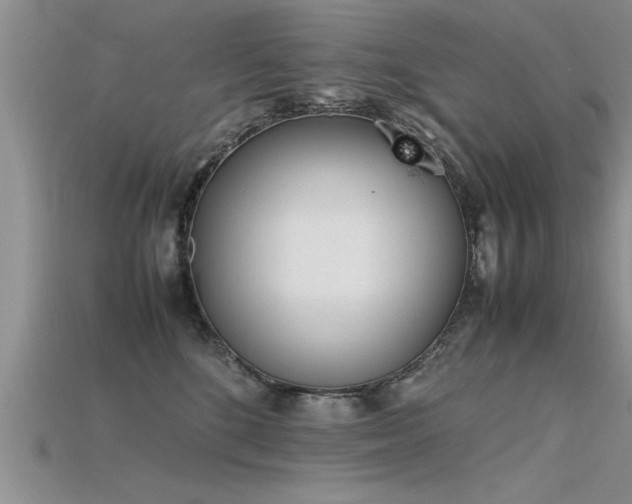 X0000115760520200911131158