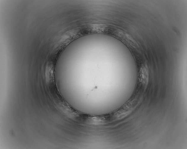 X0000115760522200911131158