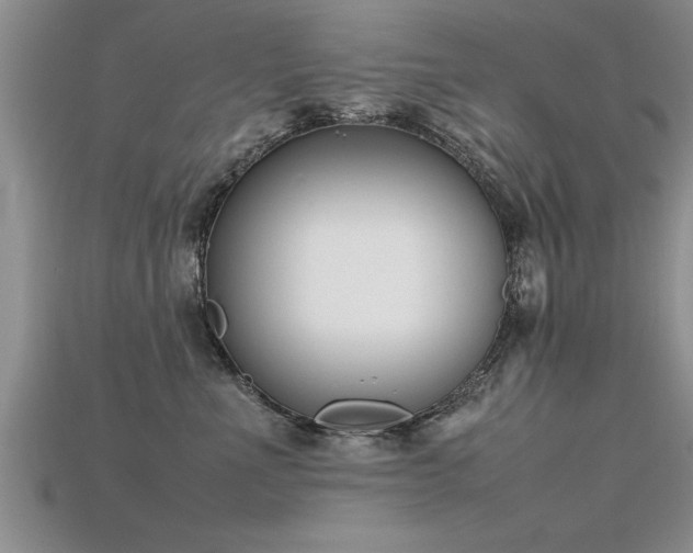 X0000115760523200911131158