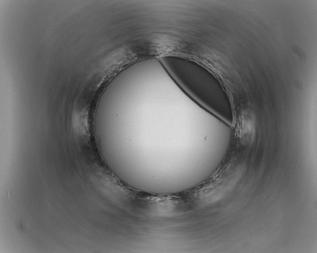X0000115760524200911131158