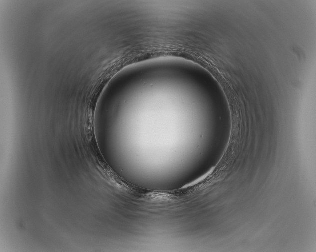 X0000115760528200911131158