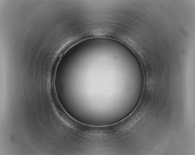 X0000115760530200911131157