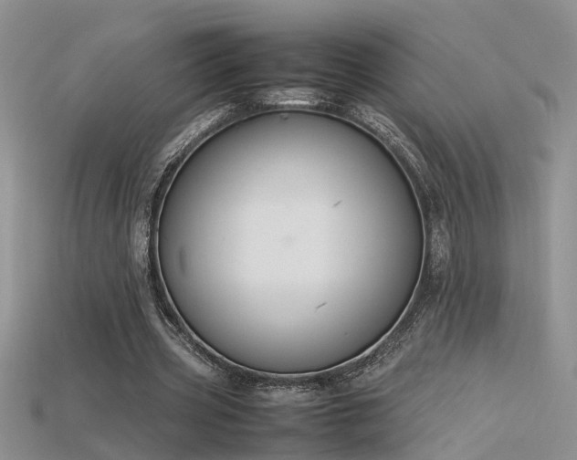 X0000115760533200911131157