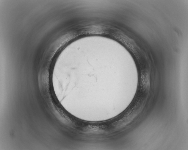 X0000115760534200911131157