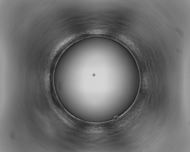 X0000115760535200911131157