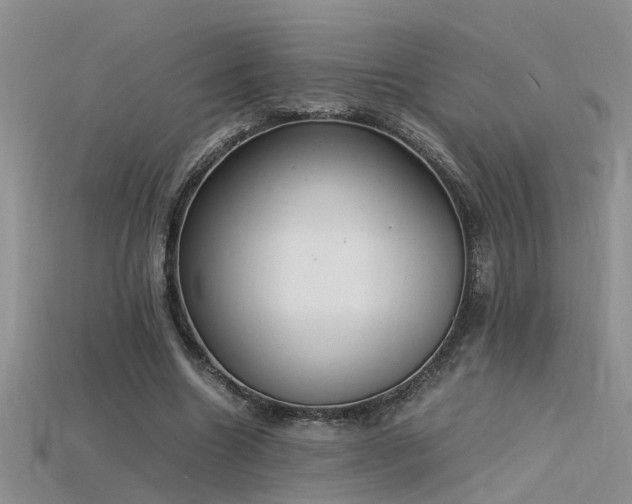 X0000115760538200911131158