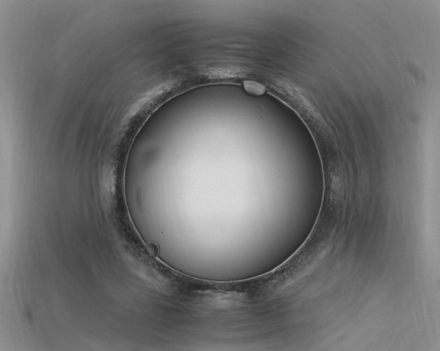 X0000115760539200911131158