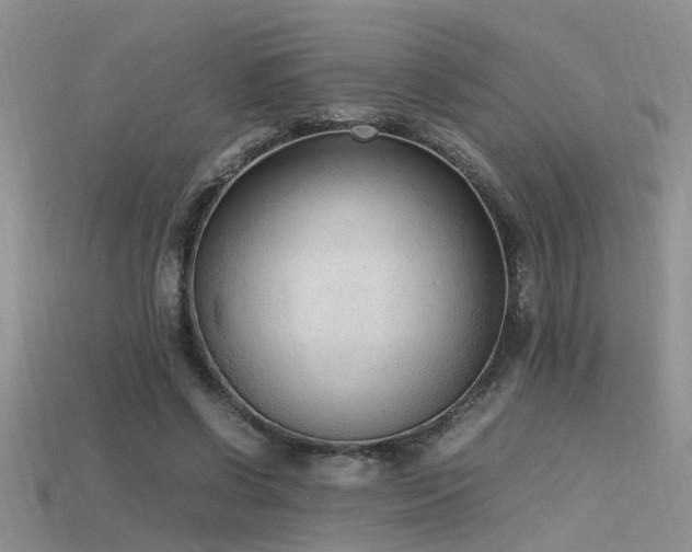 X0000115760542200911131158