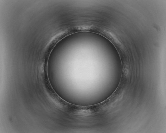 X0000115760543200911131158