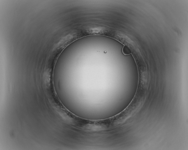 X0000115760545200911131158