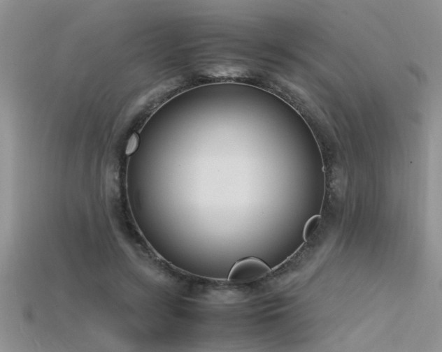 X0000115760547200911131158