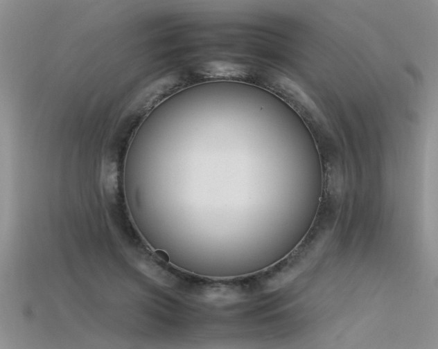 X0000115760549200911131158