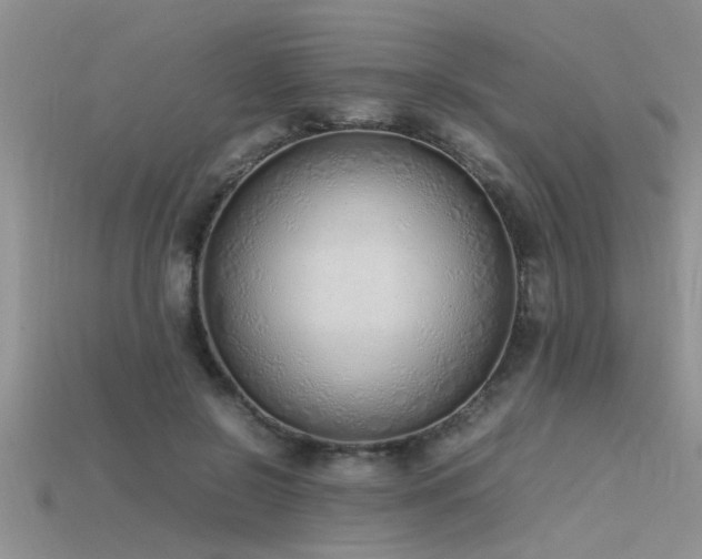 X0000115760550200911131158