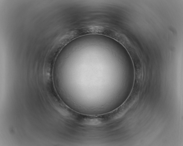 X0000115760553200911131158