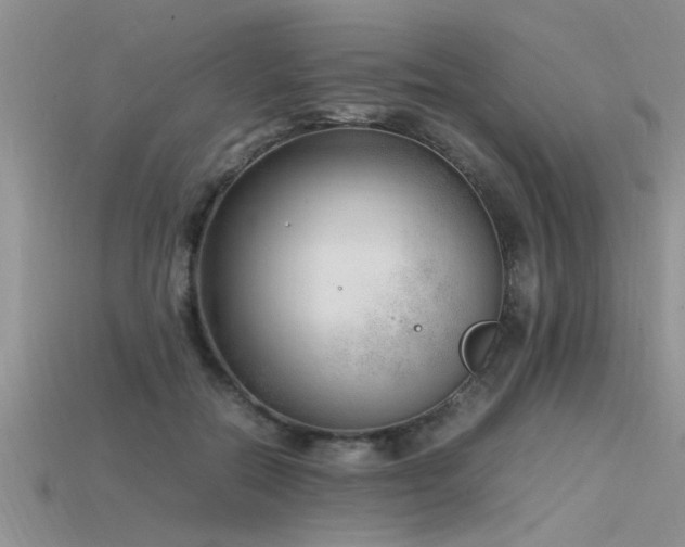 X0000115760554200911131158