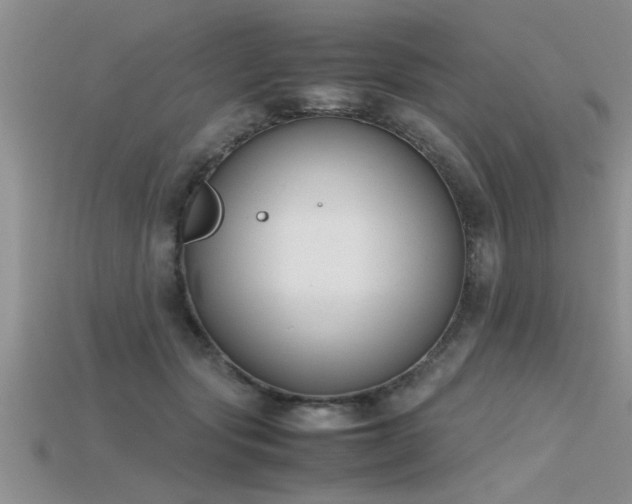 X0000115760557200911131158