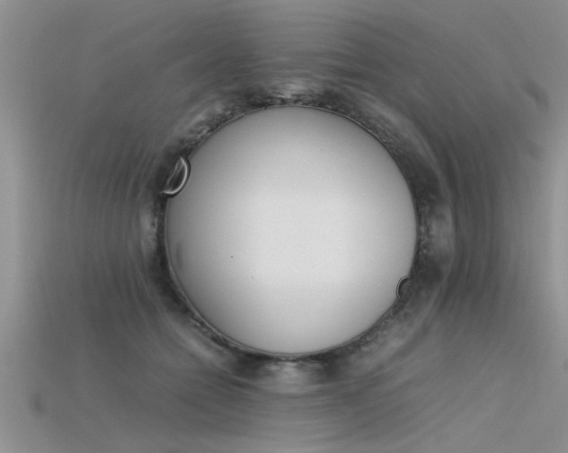 X0000115760558200911131158