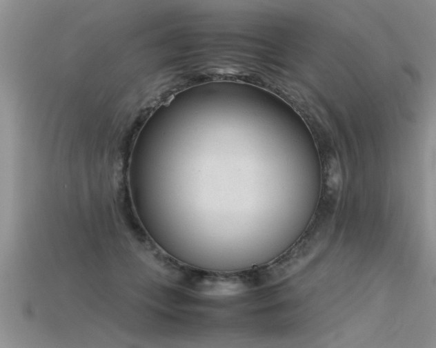 X0000115760559200911131158