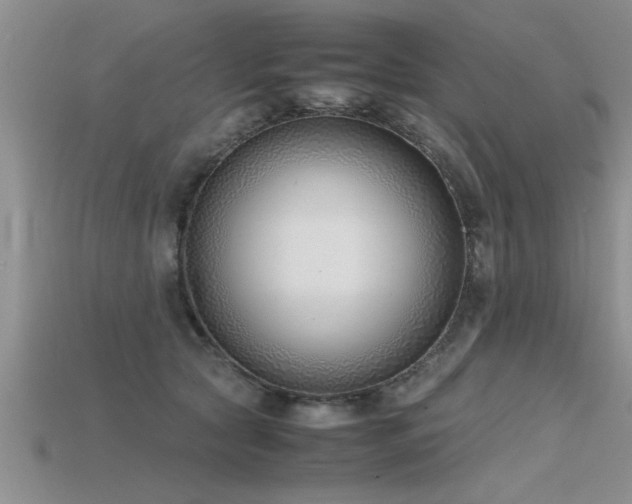 X0000115760561200911131158