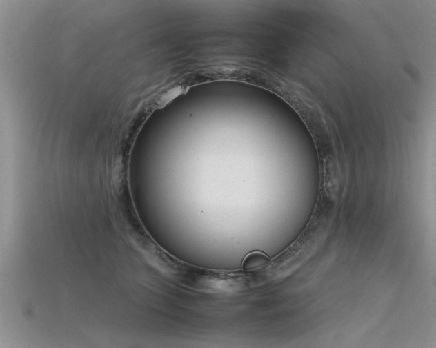 X0000115760563200911131158