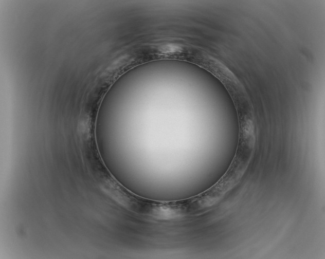 X0000115760565200911131158