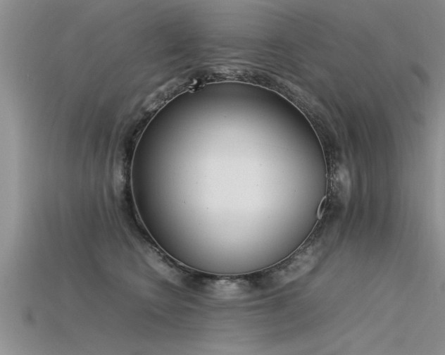 X0000115760566200911131158