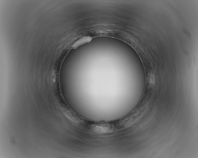 X0000115760567200911131158