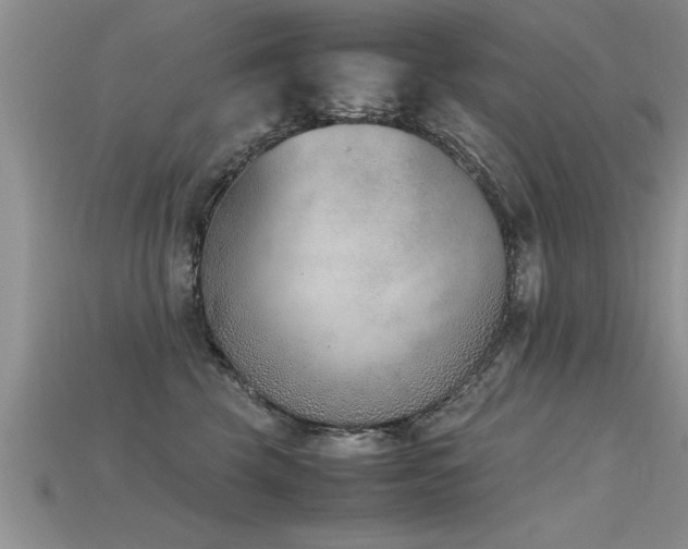 X0000115760569200911131158