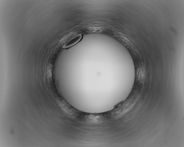 X0000115760570200911131158