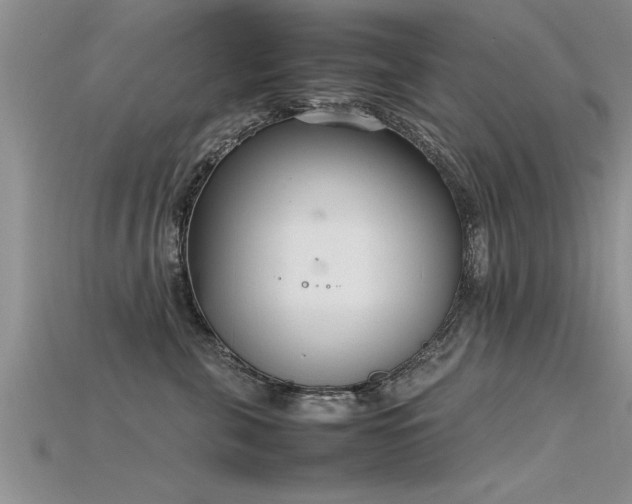 X0000115760571200911131158
