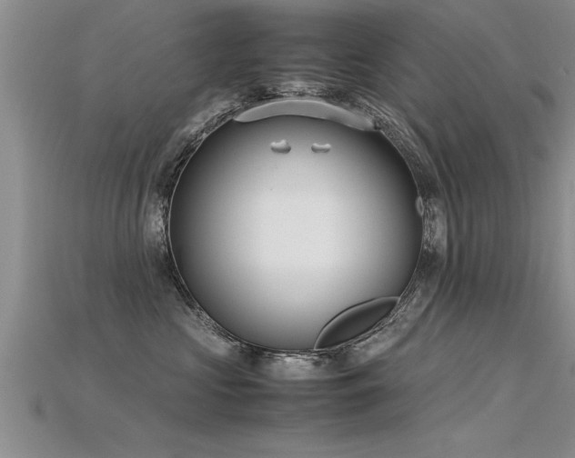 X0000115760573200911131158