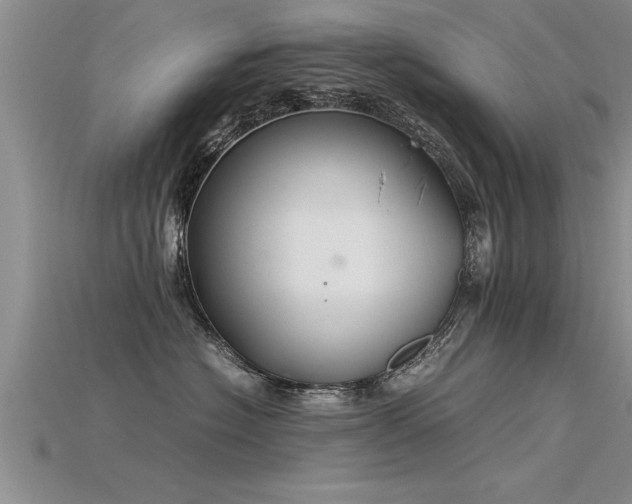X0000115760574200911131158