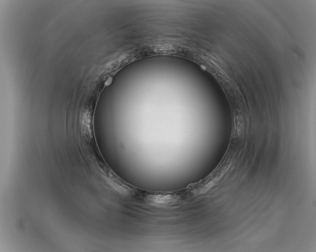 X0000115760575200911131158
