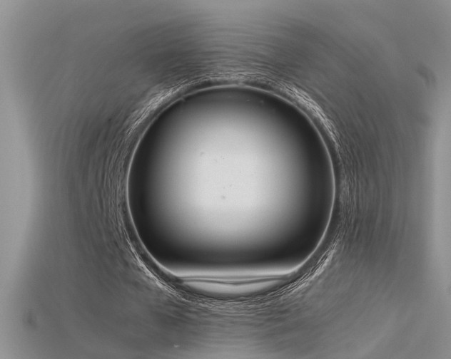 X0000115760577200911131157