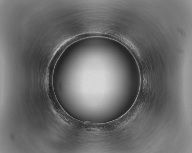 X0000115760580200911131157