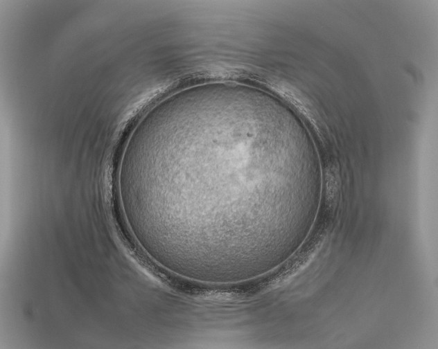 X0000115760581200911131157