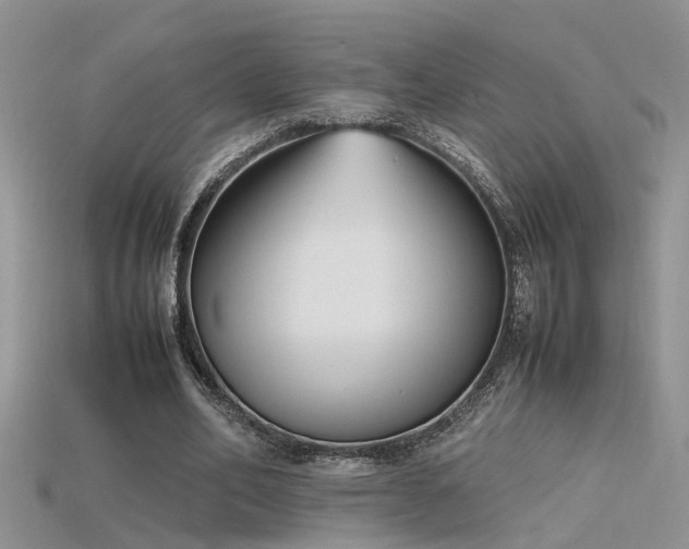 X0000115760582200911131157
