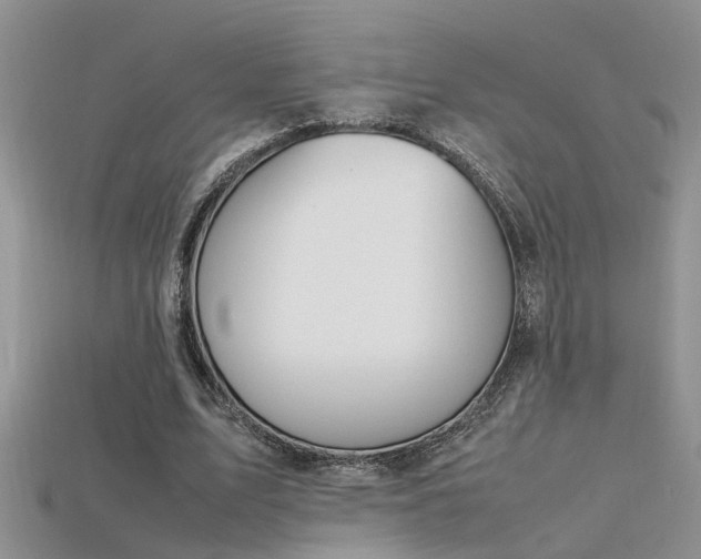 X0000115760583200911131157