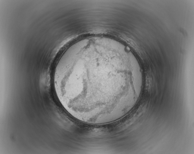 X0000115760584200911131157