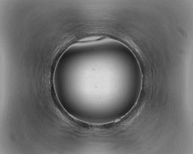 X0000115760585200911131157
